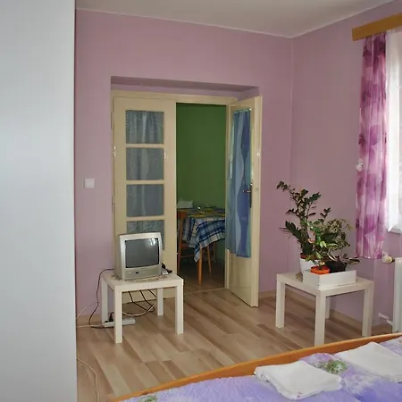 Apartman Viktorie Trebon Room photo